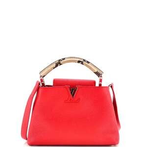 Louis Vuitton Capucines Bag Leather #184157L36B